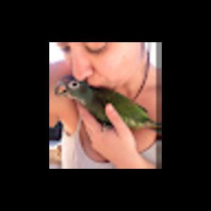 Meet your Posher, Katie